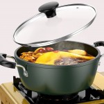 Antiadhésif Casserole avec couvercle : casserole avec couvercle de cuisson pour poêle 22 centimètres - B09JW2XK6ML