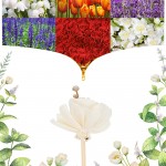HEALLILY Stick de Diffuseur de Roseaux de Fleurs de Pivoine: 5Pcs Fleurs Blanches Arôme Arôme Fleurs de Rotin Fleurs de Parfum Décoratif Bâtonnets de Recharge de Remplacement - B09PMR6CWSA