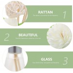 Hemoton 3 ensembles de daromathérapie de verre Diffuseur Diffuseur dhuile essentielle décorative avec fleur séchée en rotin - B09PFYG2T8B