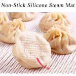 5 Pièces Dumpling Steamer Pad Cuisine Silicone Vapeur Maille Tapis de Maille Pad Antiadhésifs Vapeur en Bambou Silicone Dim Sum Mesh 28cm - B08B3GLYFCY